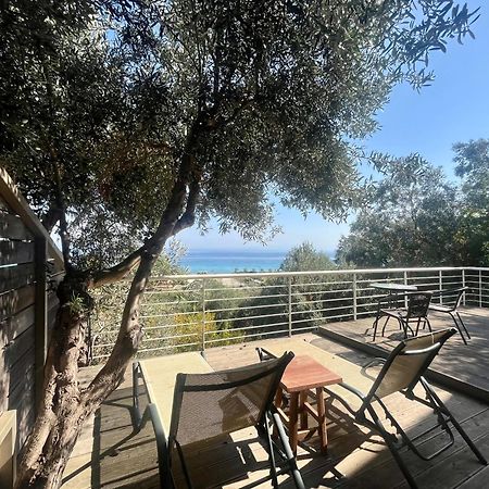 The Beach House - Apartments & Studios (Adults Only) Afytos Eksteriør bilde