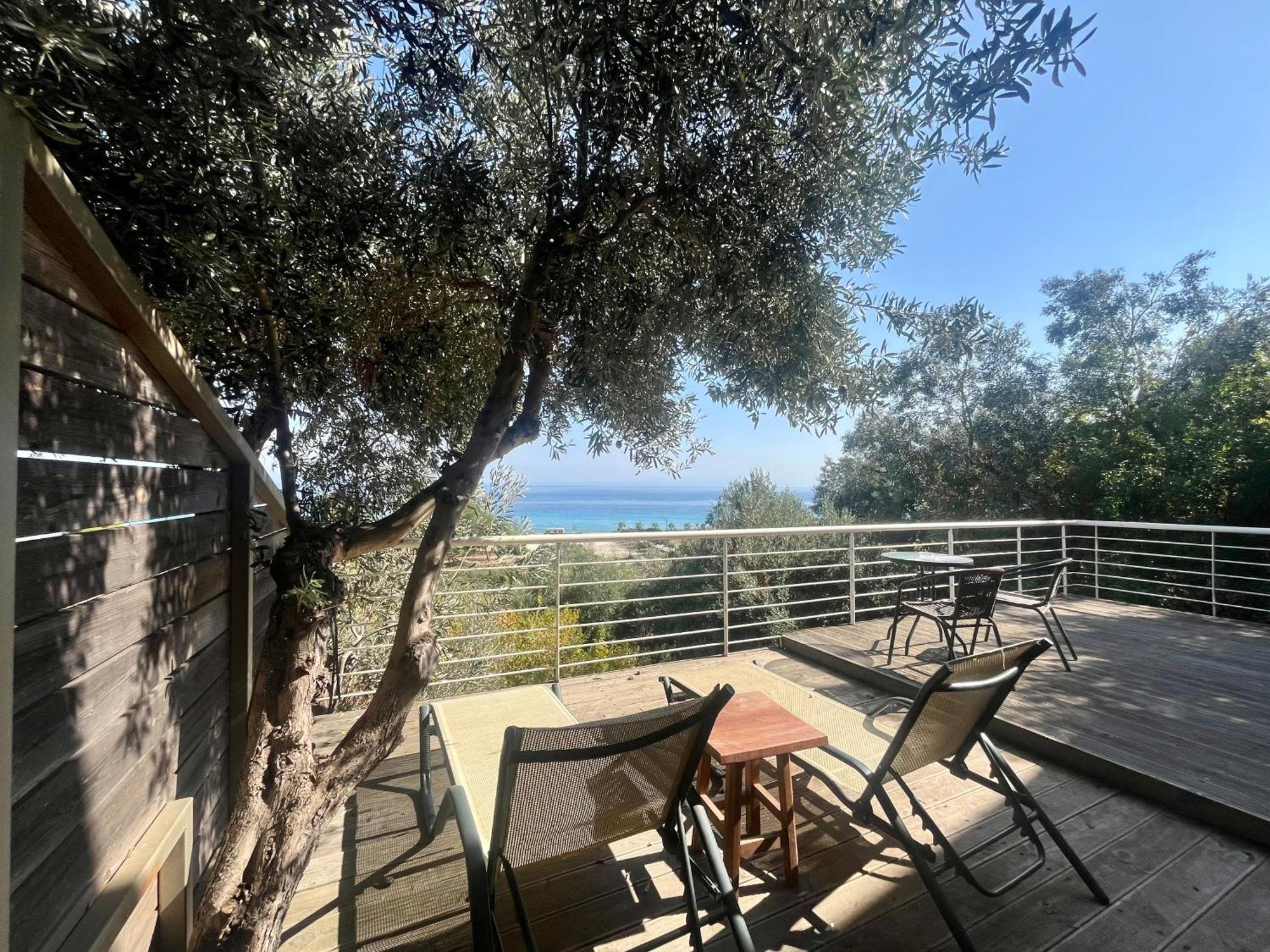 The Beach House - Apartments & Studios (Adults Only) Afytos Eksteriør bilde